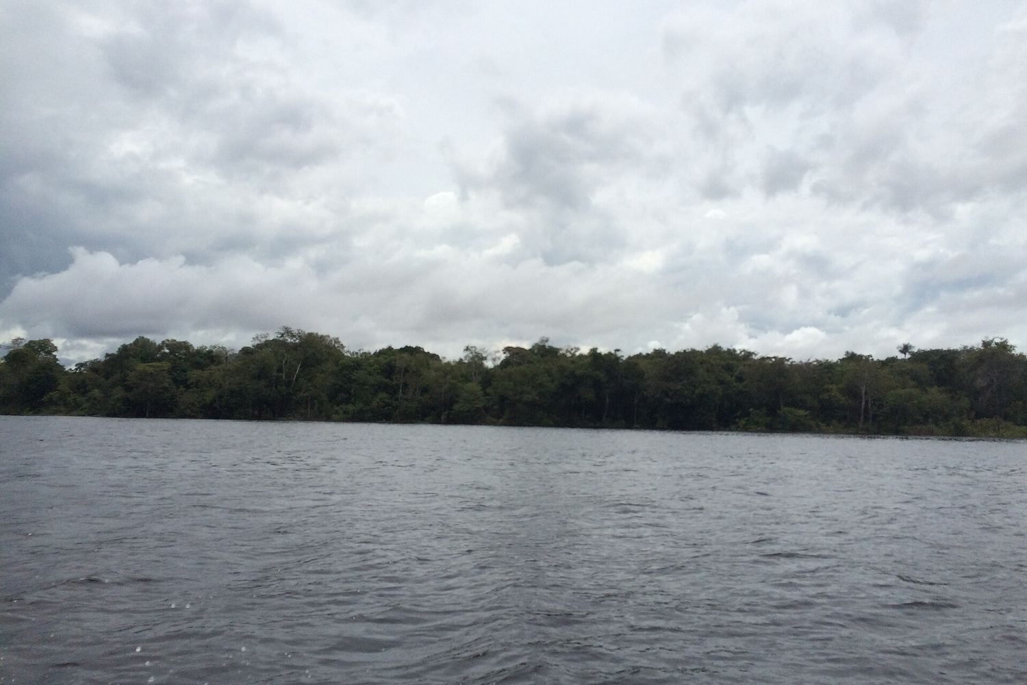 União Cívica do Amazonas